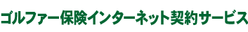 �S���t�@�[�ی��C���^�[�l�b�g�_��T�[�r�X